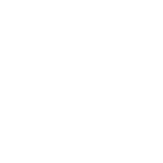 logo_wt